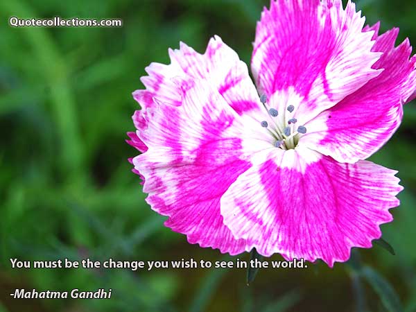 Mahatma Gandhi Quotes2